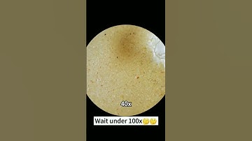 short video viral macro zoom video video 100x z