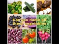 A to Z vegetable name | Can you name all these vegetables #shorts 🍅🥕