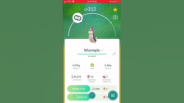 Do I evolve my shiny wurmple