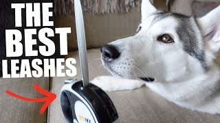 Which Leash Is THE BEST For A Husky?