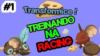 TRANSFORMICE ANDROID (Treinado duro na Racing)