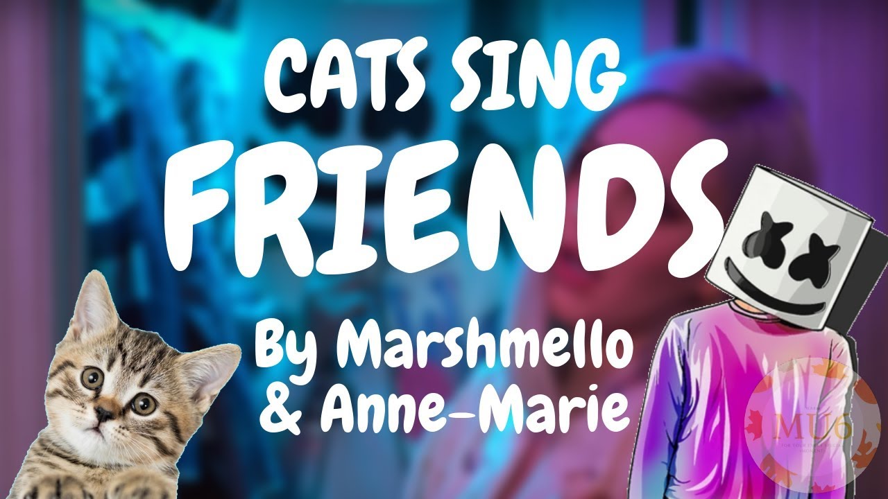 Cats can sing