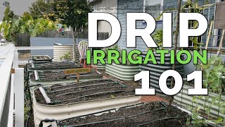 Installing a Drip Irrigation System for Raised Beds  (Before & After)