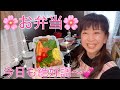 大場久美子【リーマンパパ弁当