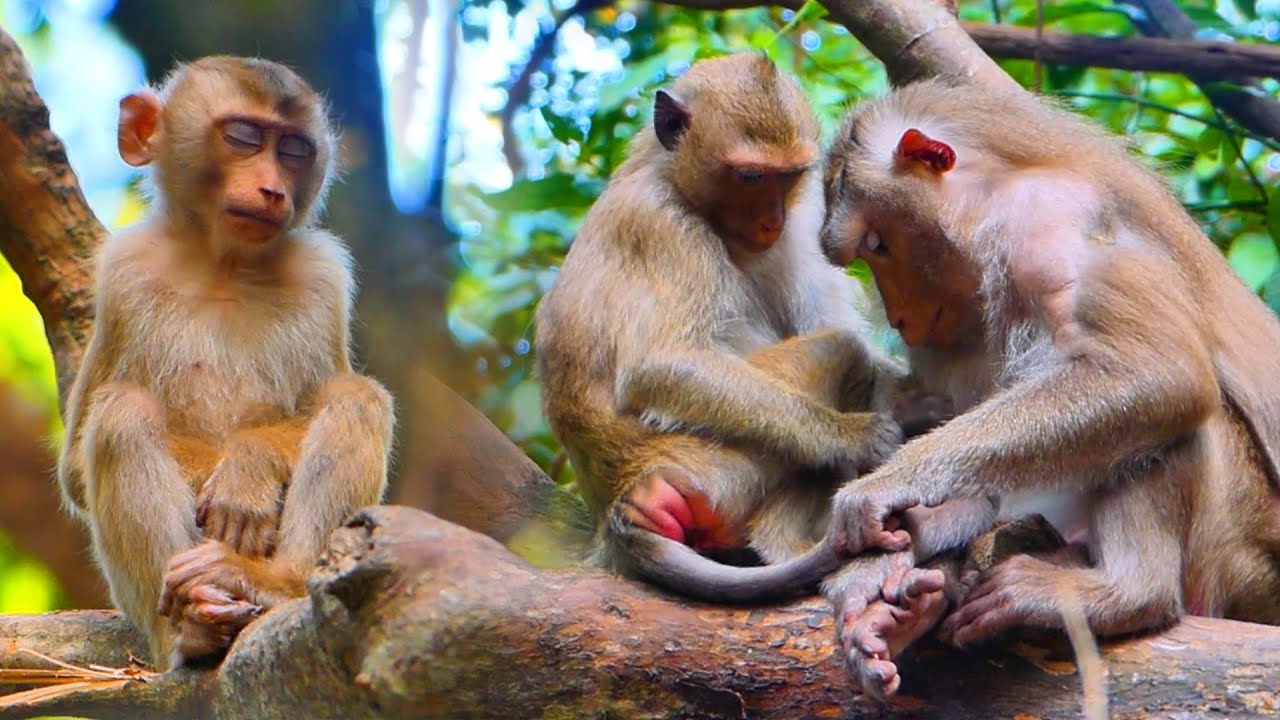 Little Lily, distraught and jealous of her sister RB, while mom helps massage RB & she stays alone