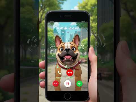 📱 Incoming Call