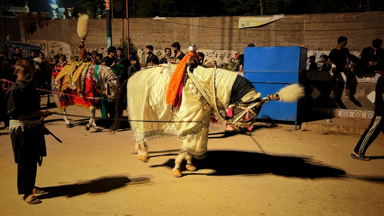 11 Muharram 1447 - Ghulam Jaffer Abro Jo Pir - Tando Thoro Hyderabad Sindh 