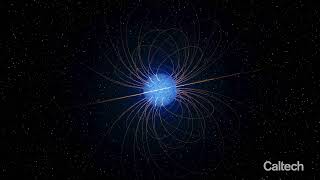 Two faced white dwarf with magnetic field lines