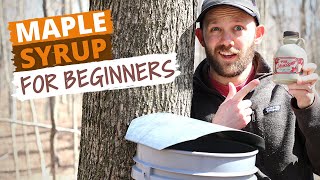How To Make Maple Syrup (Small Batch Syrup For Beginners)