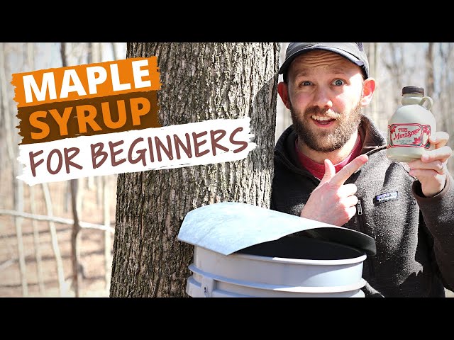 Small Batch Maple Syrup in Your Home Kitchen — A Practical Guide