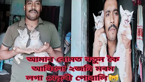 Watch the video about June 13, 2023