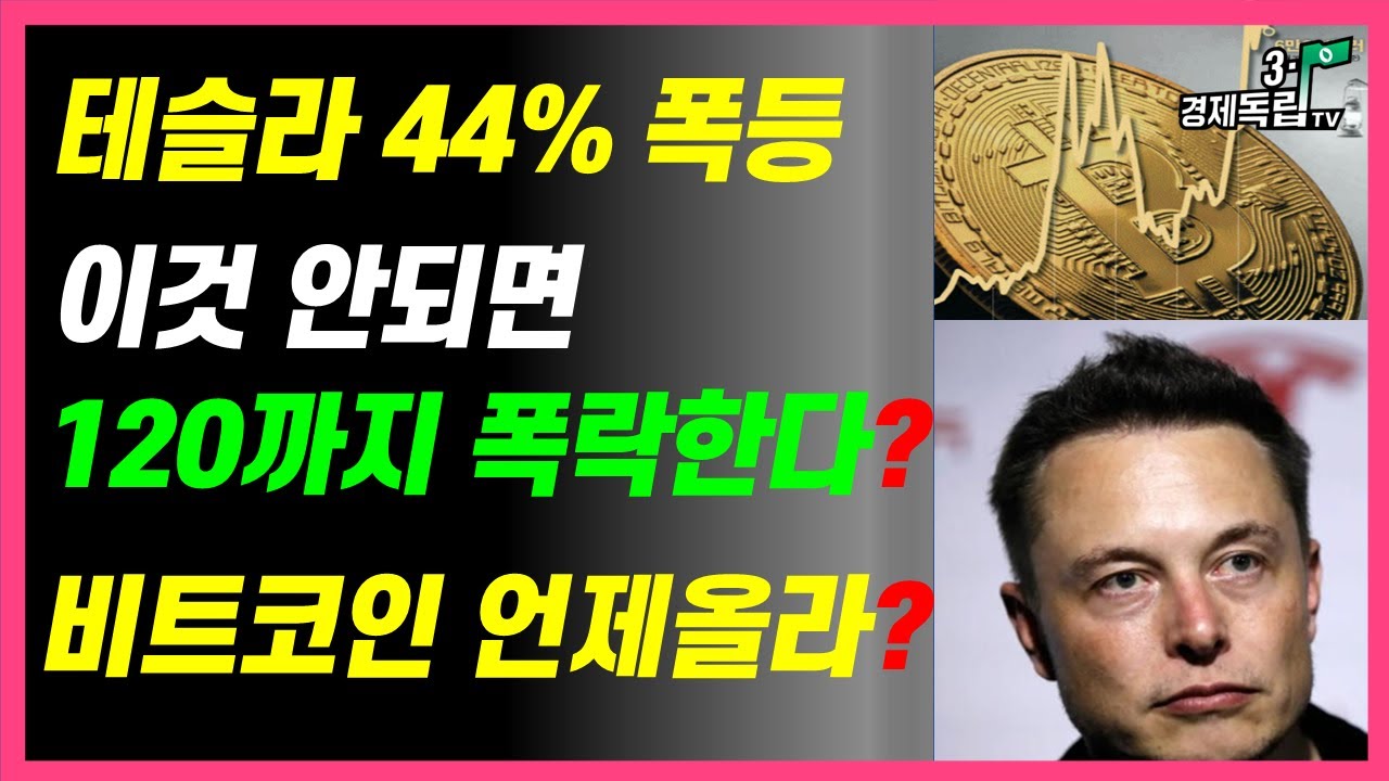 [테슬라 44% 폭등!! 이것 안되면..120달러까지 폭락한다?? 비트코인 언제 올라?? ]#3.1경제독립tv