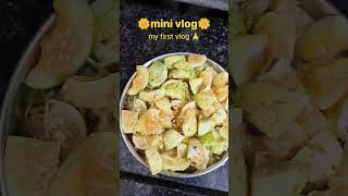 my first vlog, #hindisong #minivlog # #song