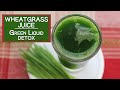 Wheatgrass Juice, The Fresh Green Liquid Detox Aid