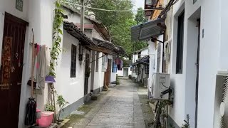 朱家角 Zhujiajiao Water Town 3 駅まで帰る道中　Walk Shanghai