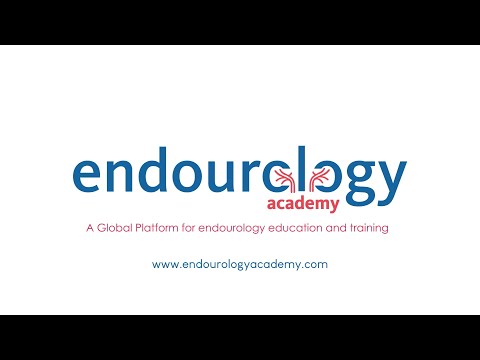 Endourology Academy Overview