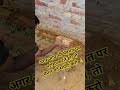 किस्मत नहीं, सिर्फ मेहनत… मेरी कहानी 💯 #Shorts