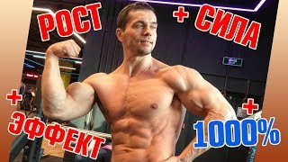 Моя САМАЯ ЭФФЕКТИВНАЯ ПРОГРАММА на рост мышц и силы. Натуральный бодибилдинг Моя САМАЯ ЭФФЕКТИВНАЯ ПРОГРАММА на рост мышц и силы. Натуральный бодибилдинг