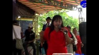 darwn nada  kepiting ucul