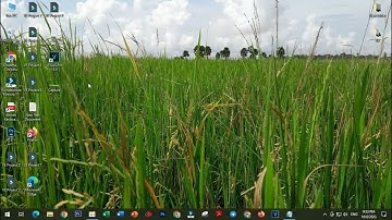 Your Browser Does Not Support the Audio Element [ Fixed ] Khmer 2023