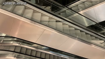 Why do Escalators have Brushes on the side walls?