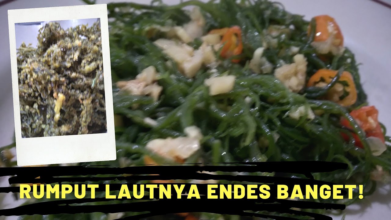 TIPS MANFAAT DAN RESEP ENAK RUMPUT LAUT YouTube TIPS MANFAAT DAN RESEP ENAK RUMPUT LAUT YouTube