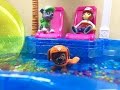 Paw Patrol Pool Party - where is Tracker the new pup?