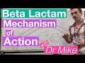 β-lactam | Mechanism of Action and Resistance