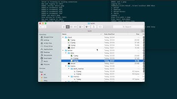 Simple Server Client Demo Video