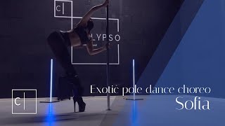 'Copycat  Billie Eilish'  Exotic pole dance choreo from Sofia