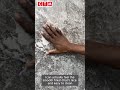 Kilimanjaro Edge Kola Gorge Rectified Matt Porcelain Floor Tile - 500 x 1000mm #ctm
