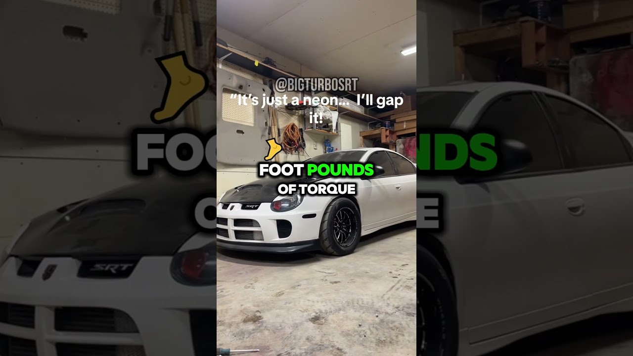 THIS NEON GAPS LAMBORGHINIS  