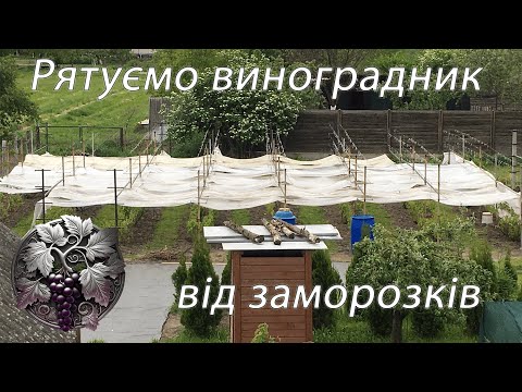 ВЕСНЯНІ ЗАМОРОЗКИ? Рятуємо
