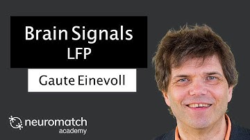 Brain Signals: LFP