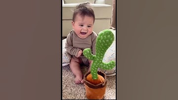 🌵👶Cactus toy babies