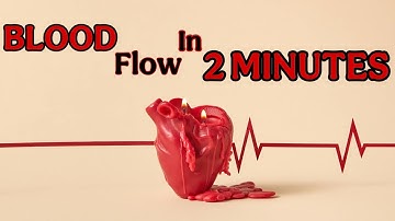Blood Flow Through The Heart in Just 2 MINUTES | Health Heritage