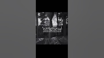 قران كريم.  سورة البقرة.   عبدالله الموسى