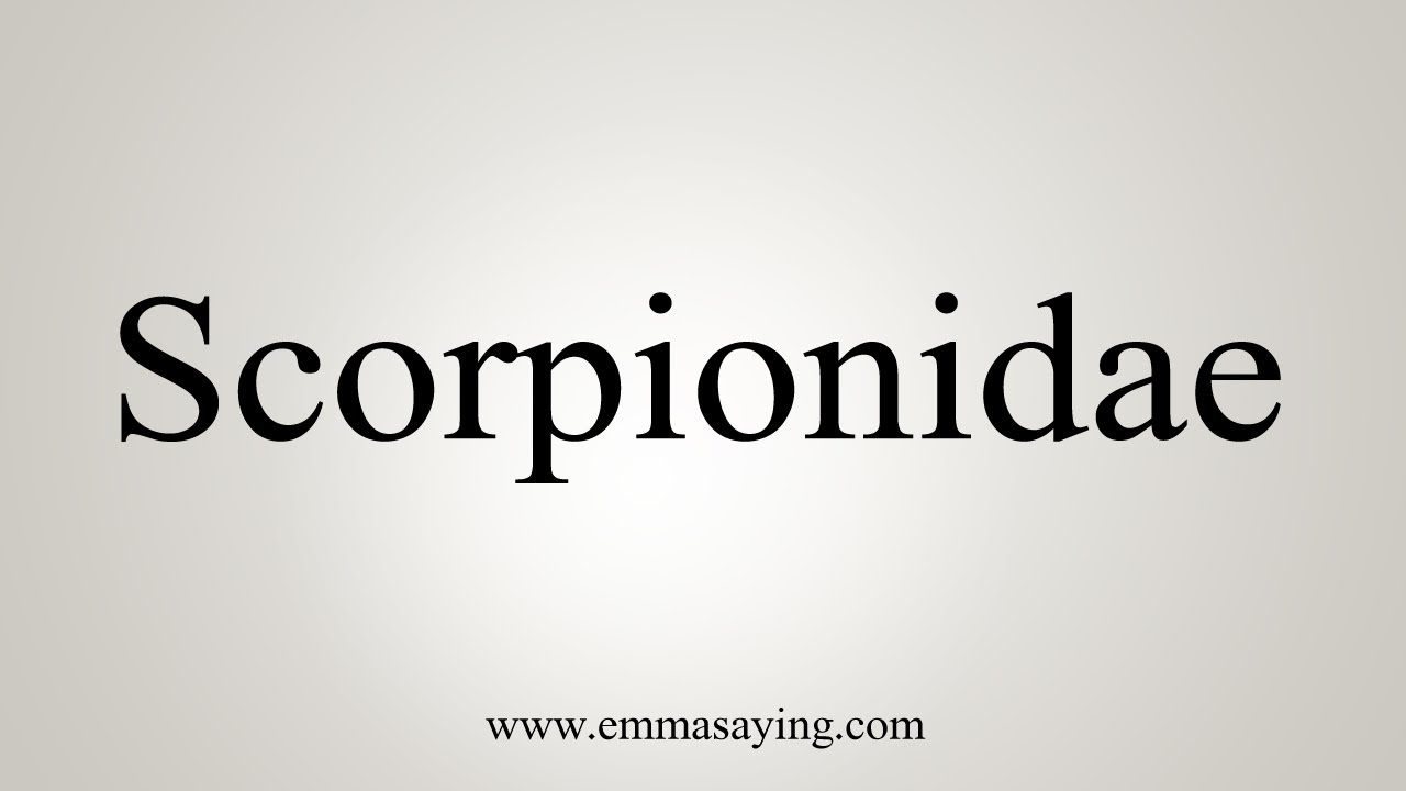 How To Say Scorpionidae