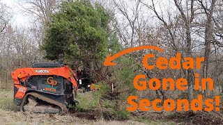 Crazy Machine Pulls Trees Like Carrots! Danuser Intimidator and Kubota Skid Steer!