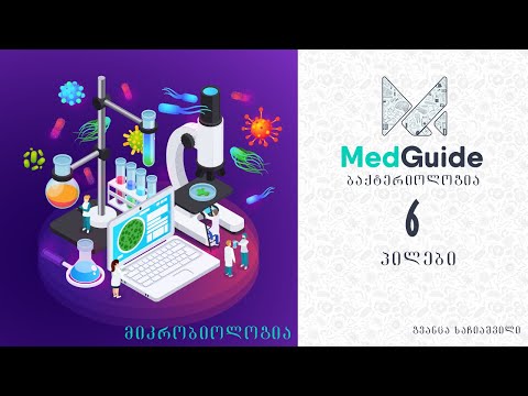 Medguide/მედგიდი - მიკრობიოლოგია | ბაქტერიოლოგია: პილები