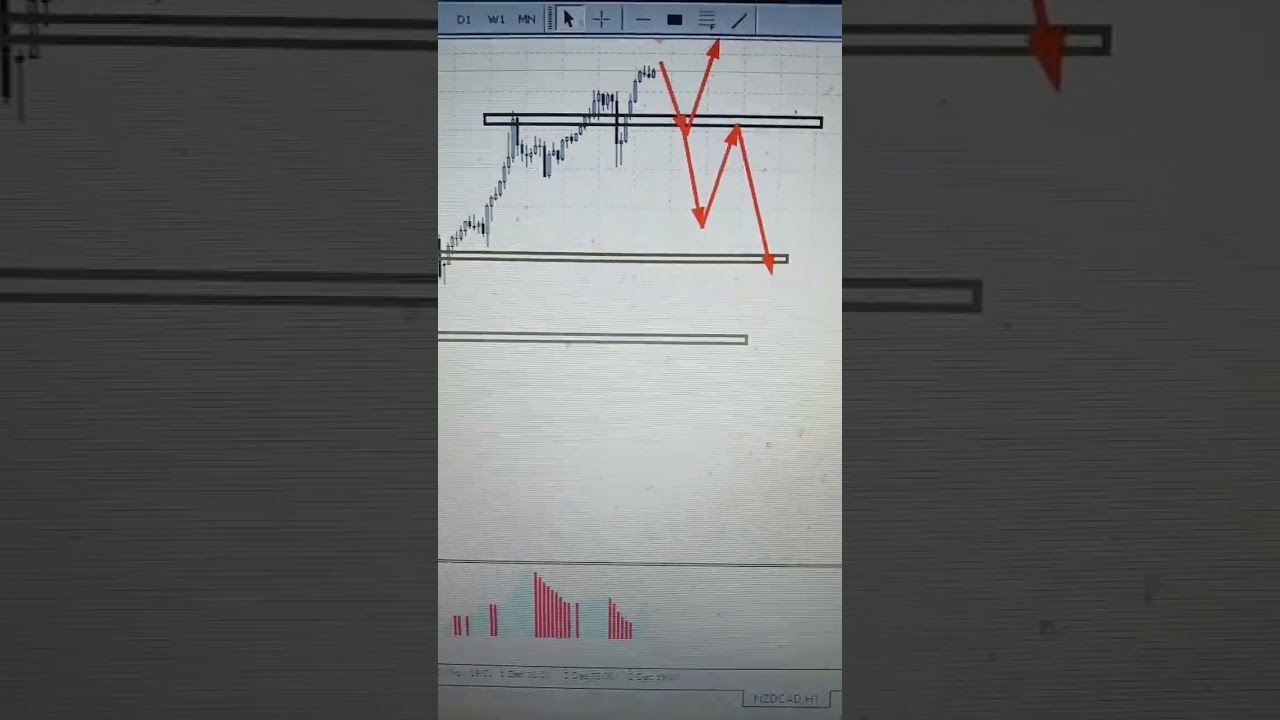 nzdcad h4 weekly forex forecast december 5 - 2022 UK FOREX HUB 