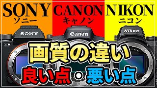 メーカー比較 SONY CANON NIKON 画質・良い点・悪い点　SONY α7RIV CANON EOS-R6 NikonZ6II