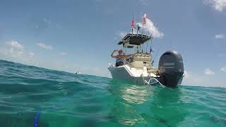 Coffin Patch Reef - Snorkeling 