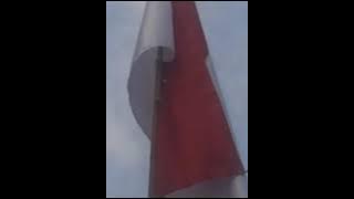 Iwan Fals - Kebaya Merah