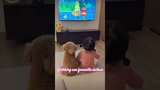we are watching larva tuba the beginning