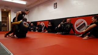 Island Top Team BJJ NoGi Guard Seminar 8