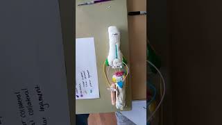 Knee Joint Model Project