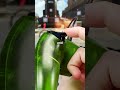 How our Mouse Click Triggers work! 🐭🎮