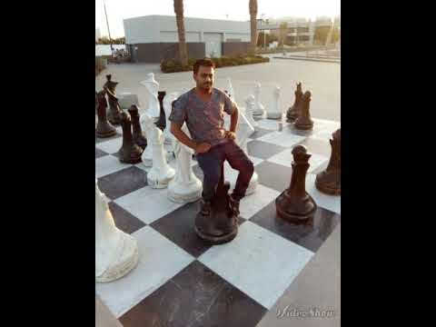 بنحبك يا دنيا بقد ومهما تعملي فينا