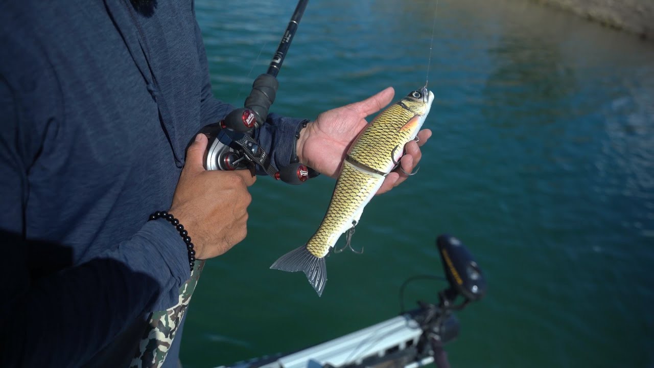 ルアー・フライ GAN CRAFT JOINED CLAW 303 JR-ONE Gan Craft Jointed Claw 303 R Shaku One, suitable for large pikes!